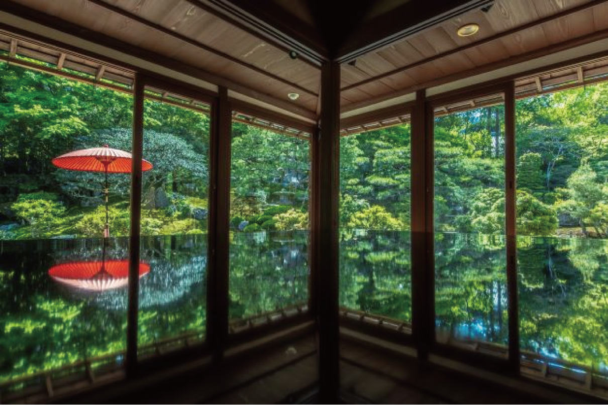 緑豊かな日本庭園の風景