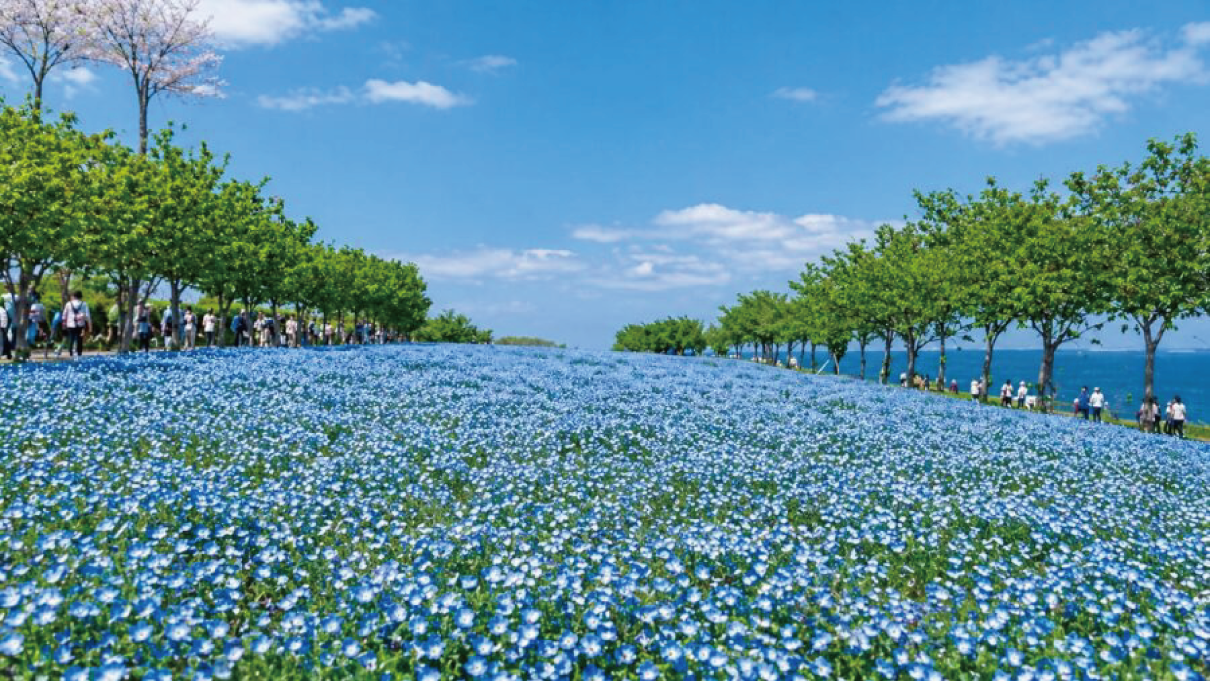 青空の下に架かる海峡大橋